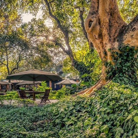 Elewana Arusha Coffee Lodge Kültér fotó