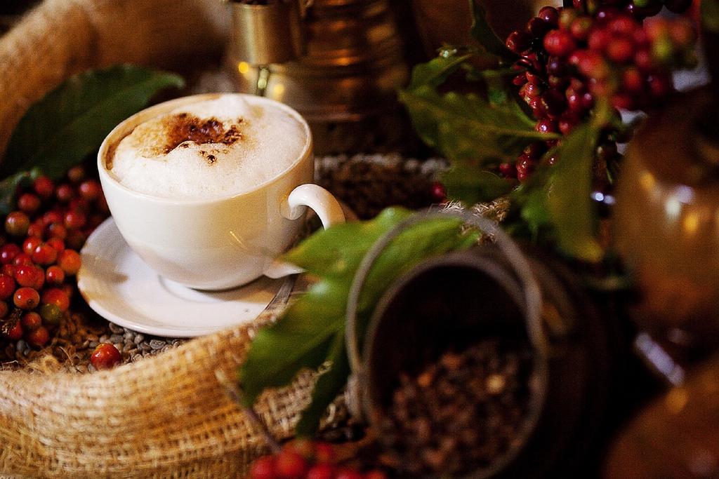 Elewana Arusha Coffee Lodge Kültér fotó
