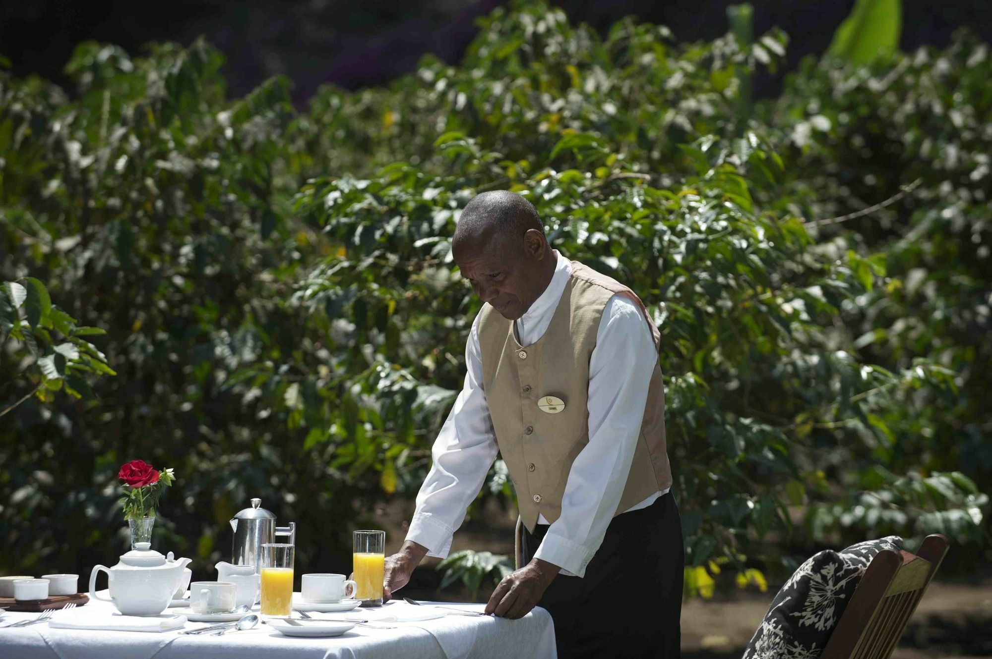 Elewana Arusha Coffee Lodge Kültér fotó