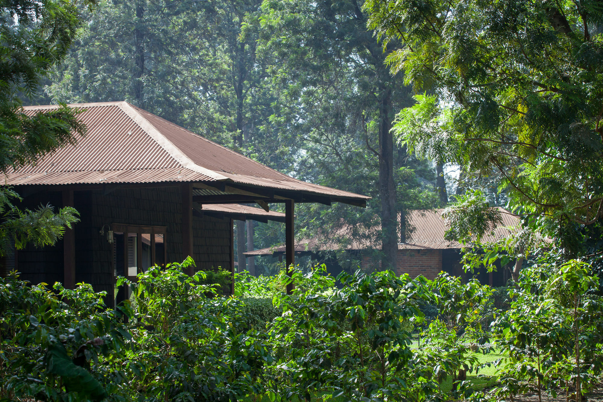 Elewana Arusha Coffee Lodge Kültér fotó